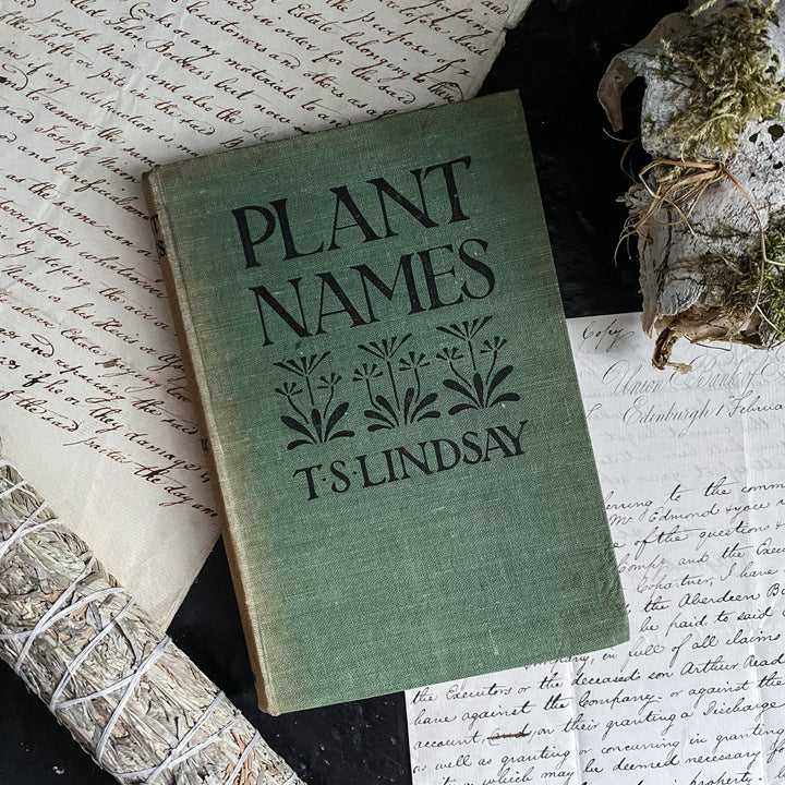 Noms de plantes