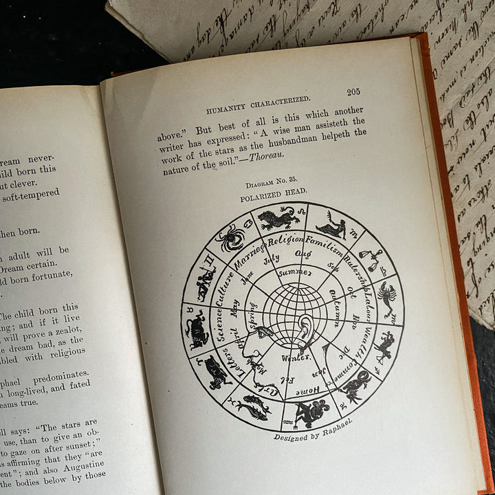 Earthology, Humanity Characterized