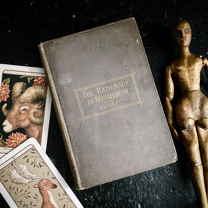 The Rationale of Mesmerism