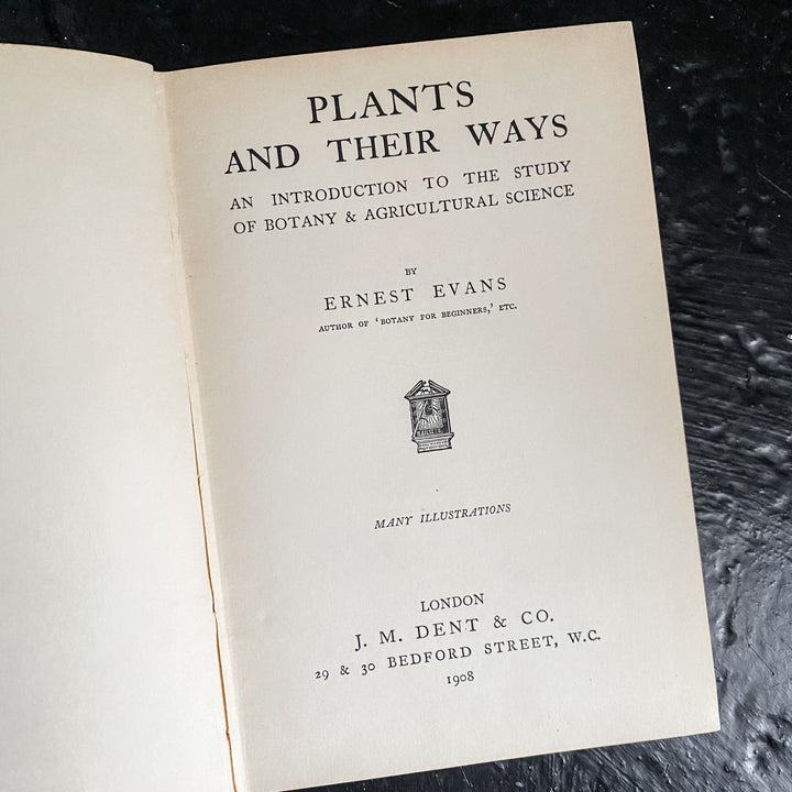 Les plantes et leurs manières