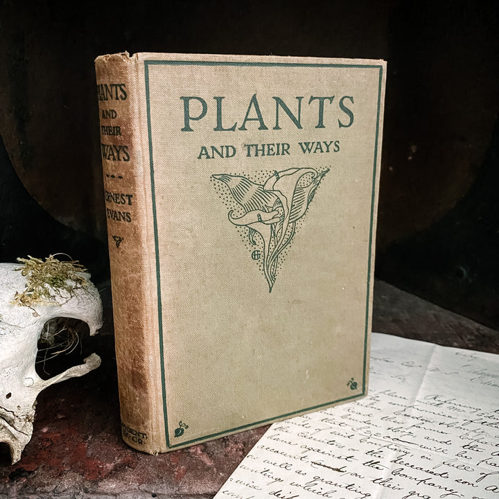 Les plantes et leurs manières