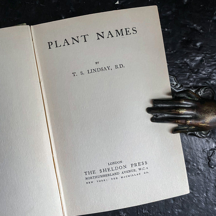 Noms de plantes