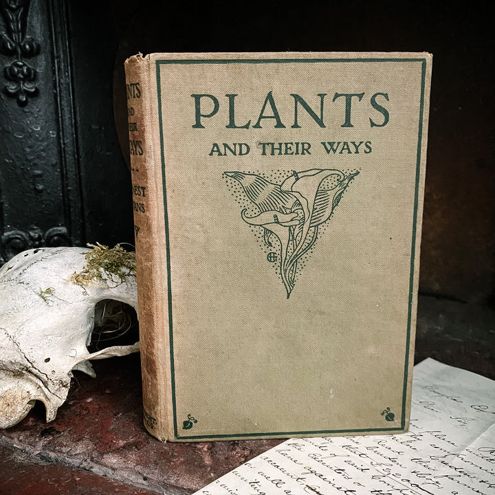 Les plantes et leurs manières
