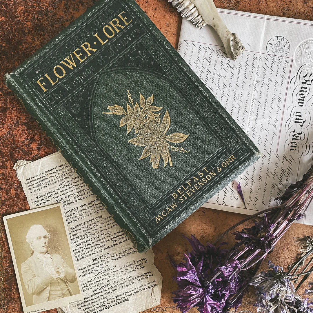 The Antiquarian Book Box