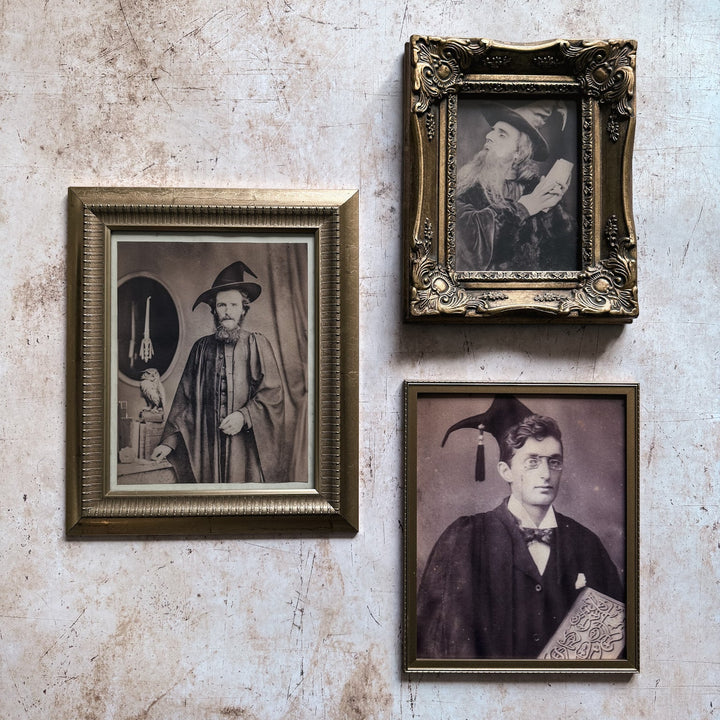 Professor Valens Crowe Wizard Art Print
