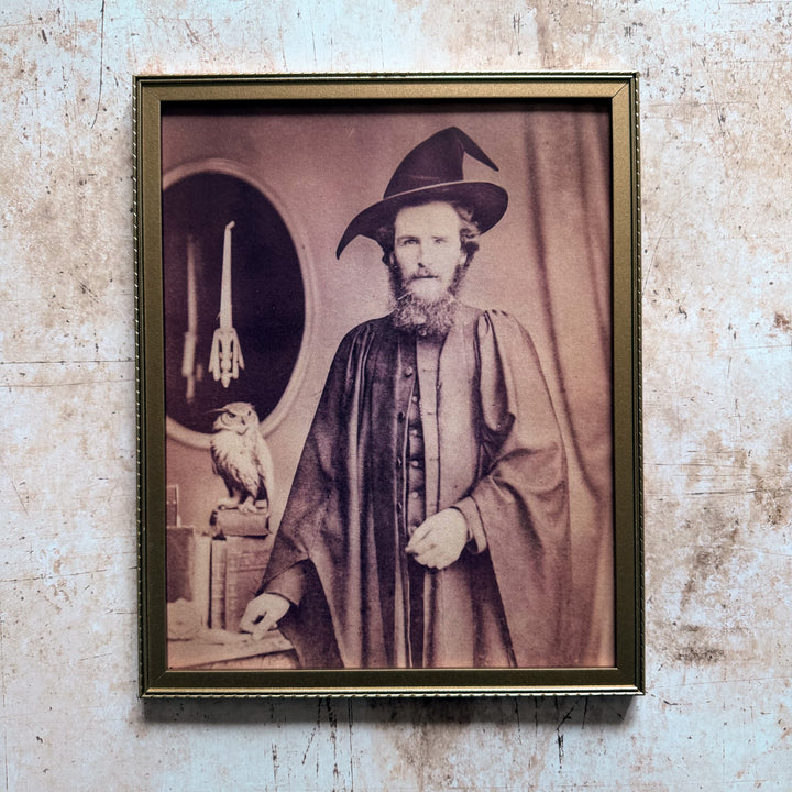 Professor Cedric Hollowgast Wizard Art Print