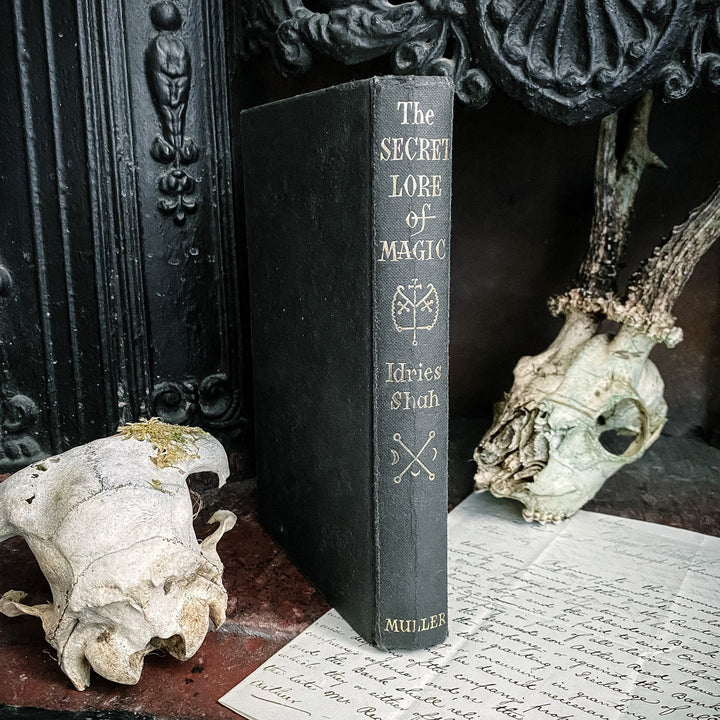 The Secret Lore of Magic