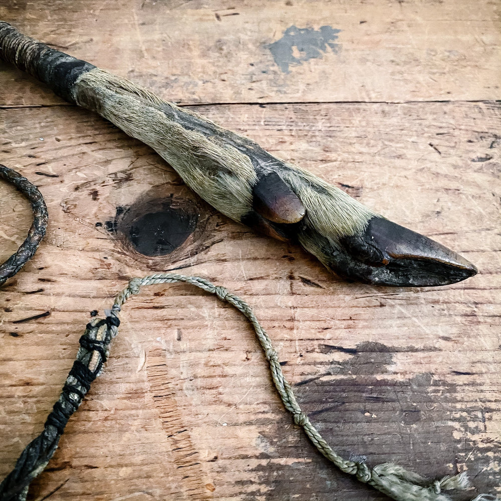 19th Century Deer Leg and Leather Whip - Houselore