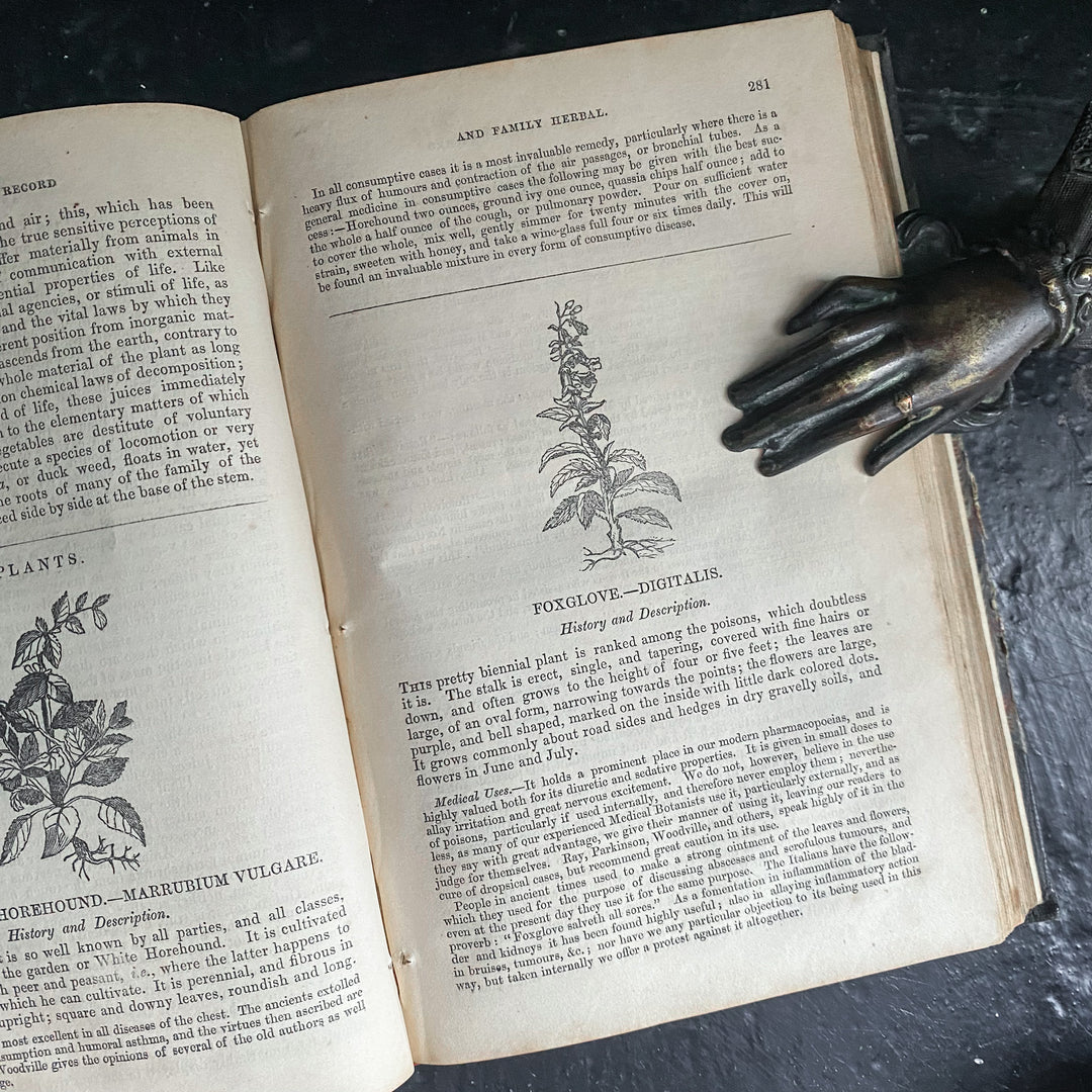 Dr. Skelton's Botanic Record and Family Herbal