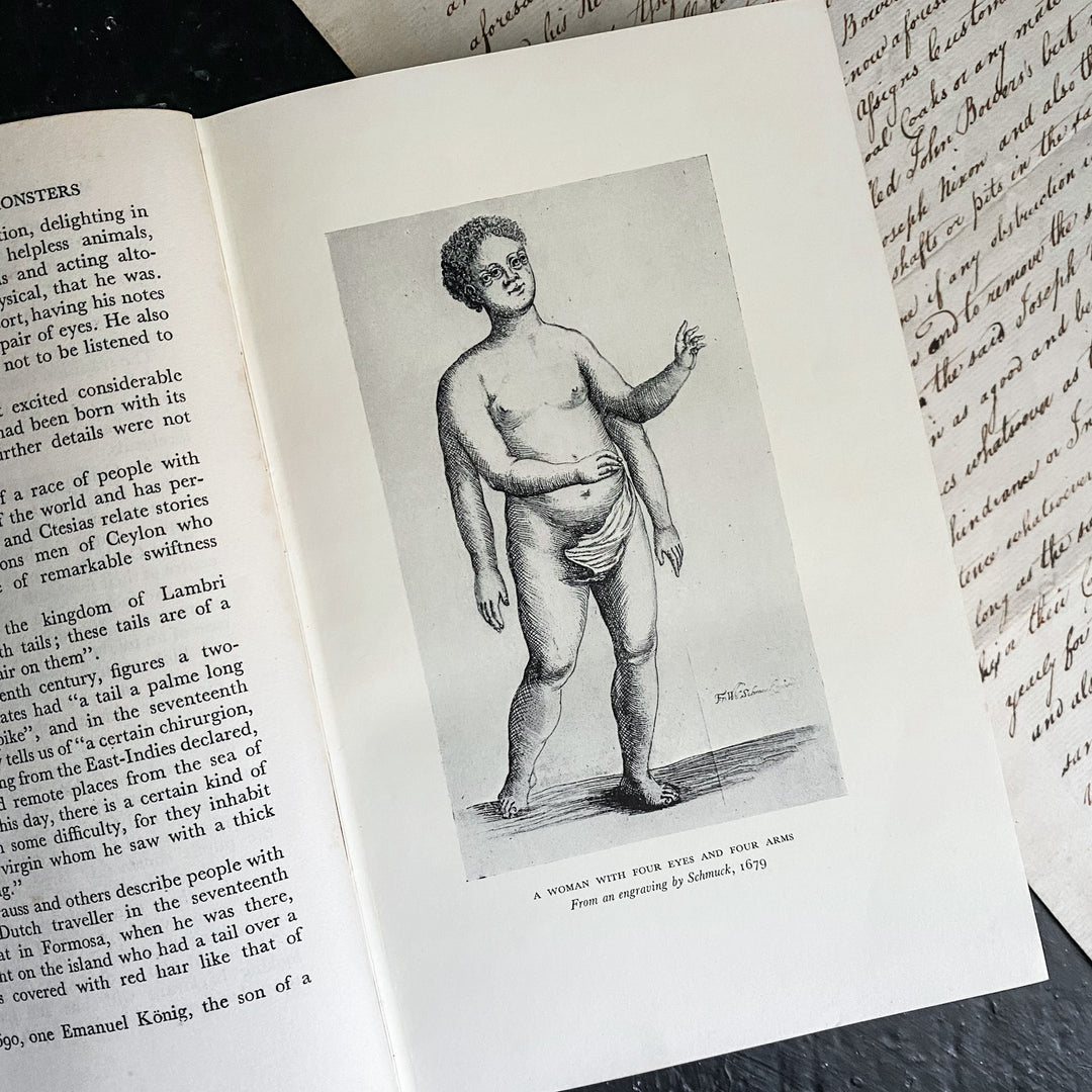 The Mystery and Lore of Monsters