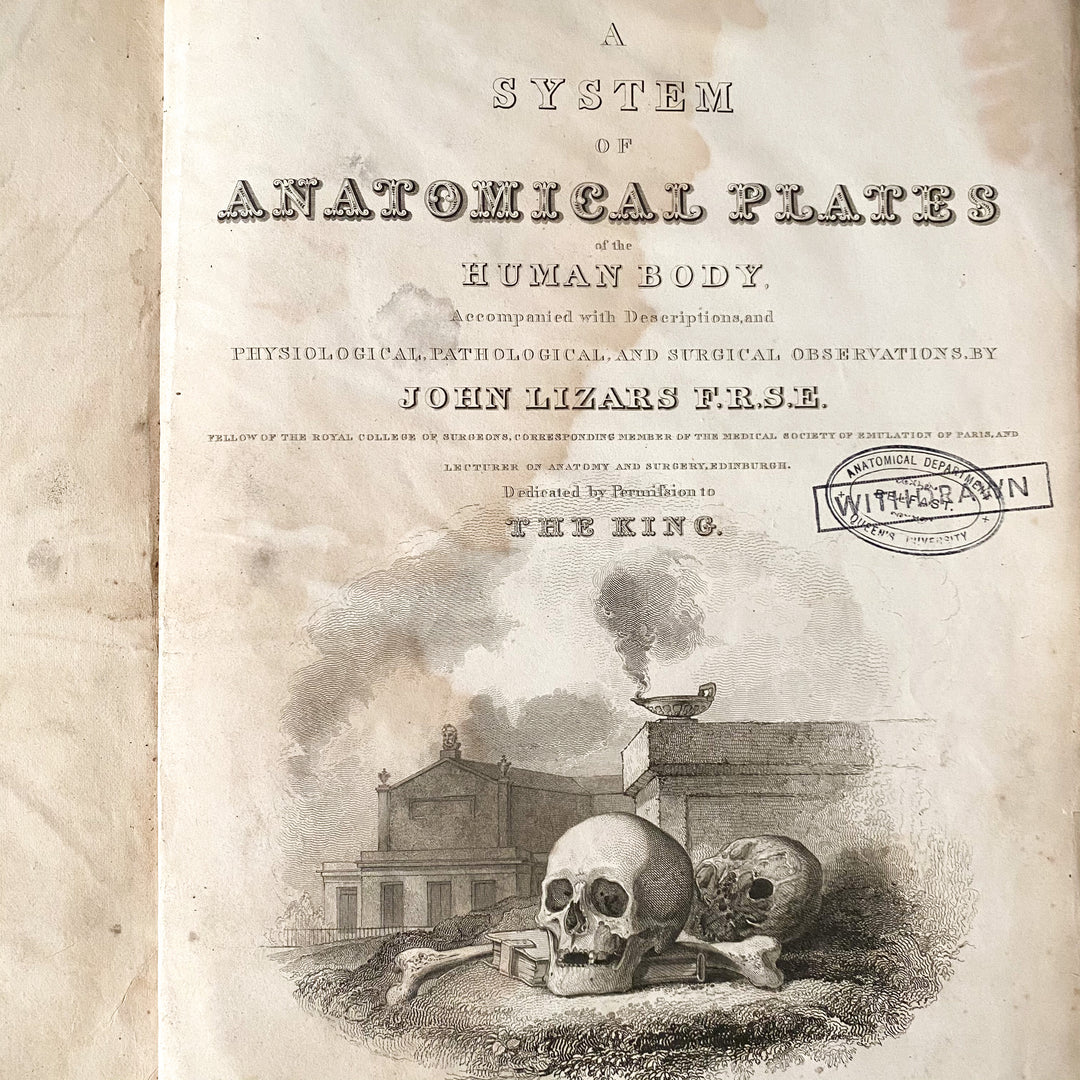 The Ear Canal - Lizars 1824 'System of Anatomical Plates'