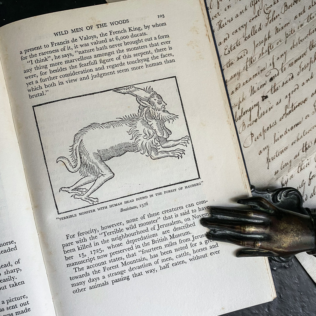 The Mystery and Lore of Monsters