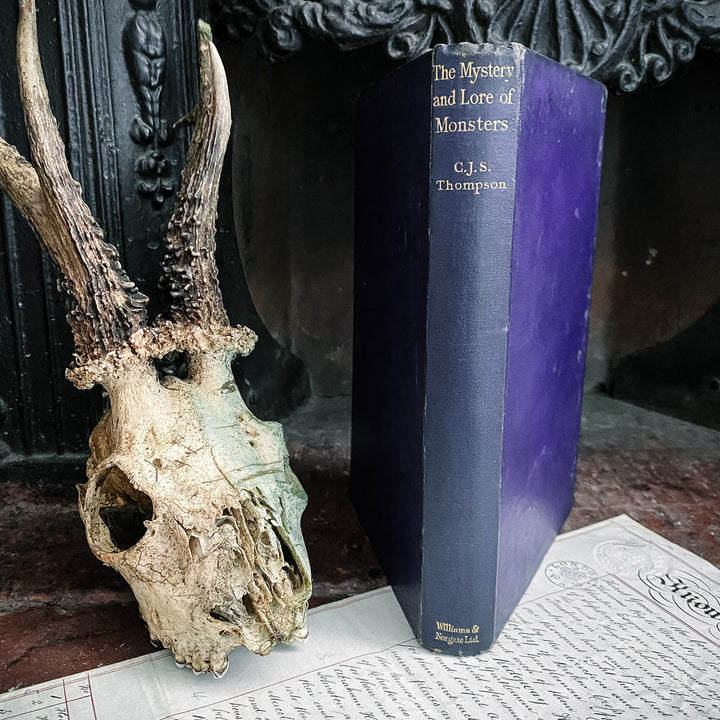 The Mystery and Lore of Monsters