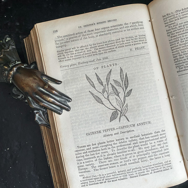 Dr. Skelton's Botanic Record and Family Herbal