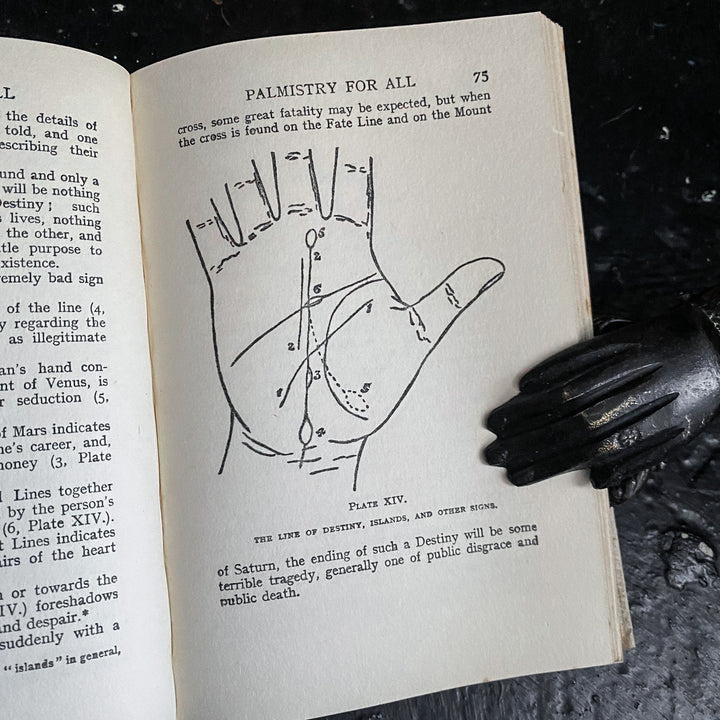 Cheiro's Palmistry for All