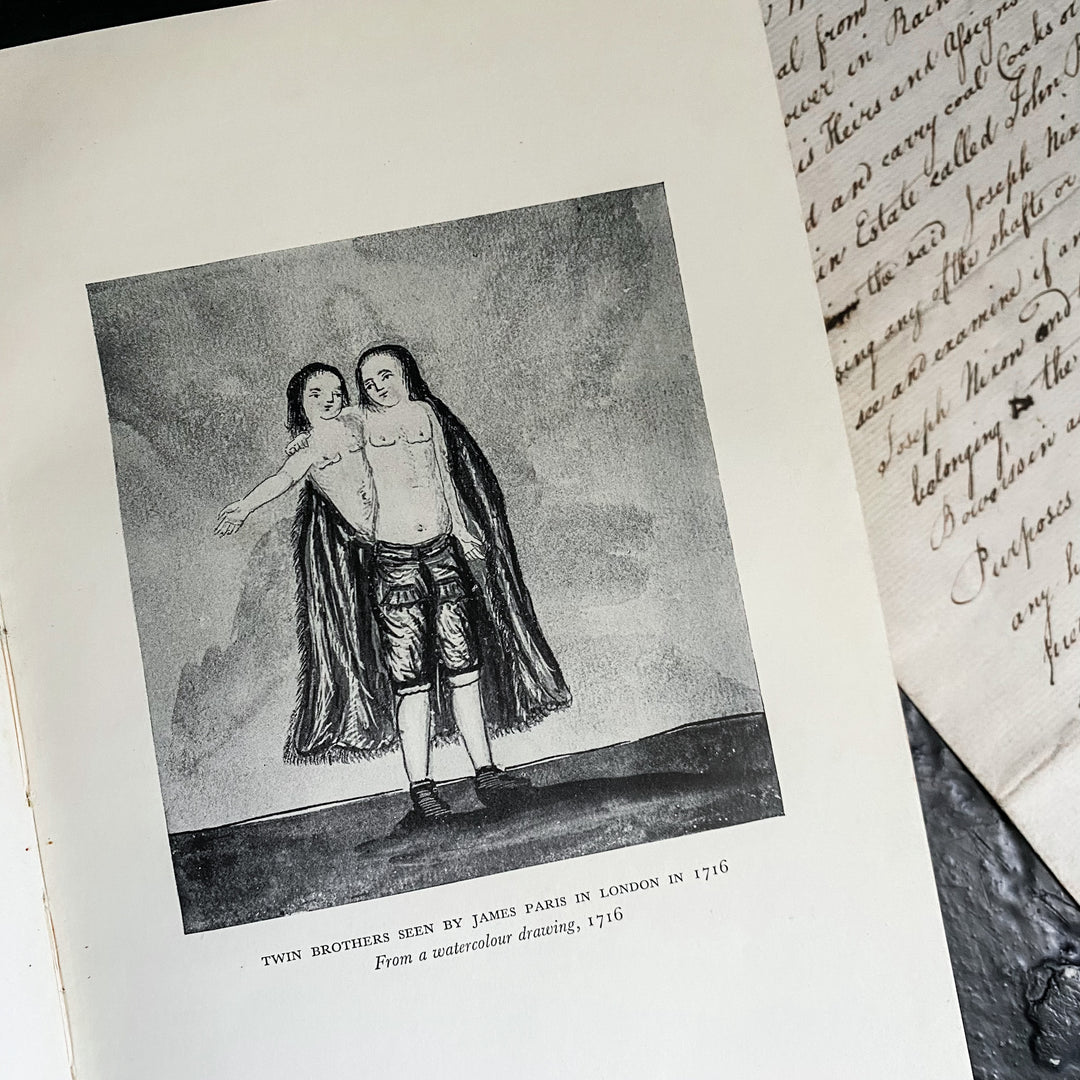 The Mystery and Lore of Monsters