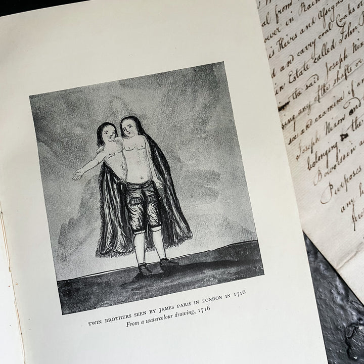 The Mystery and Lore of Monsters