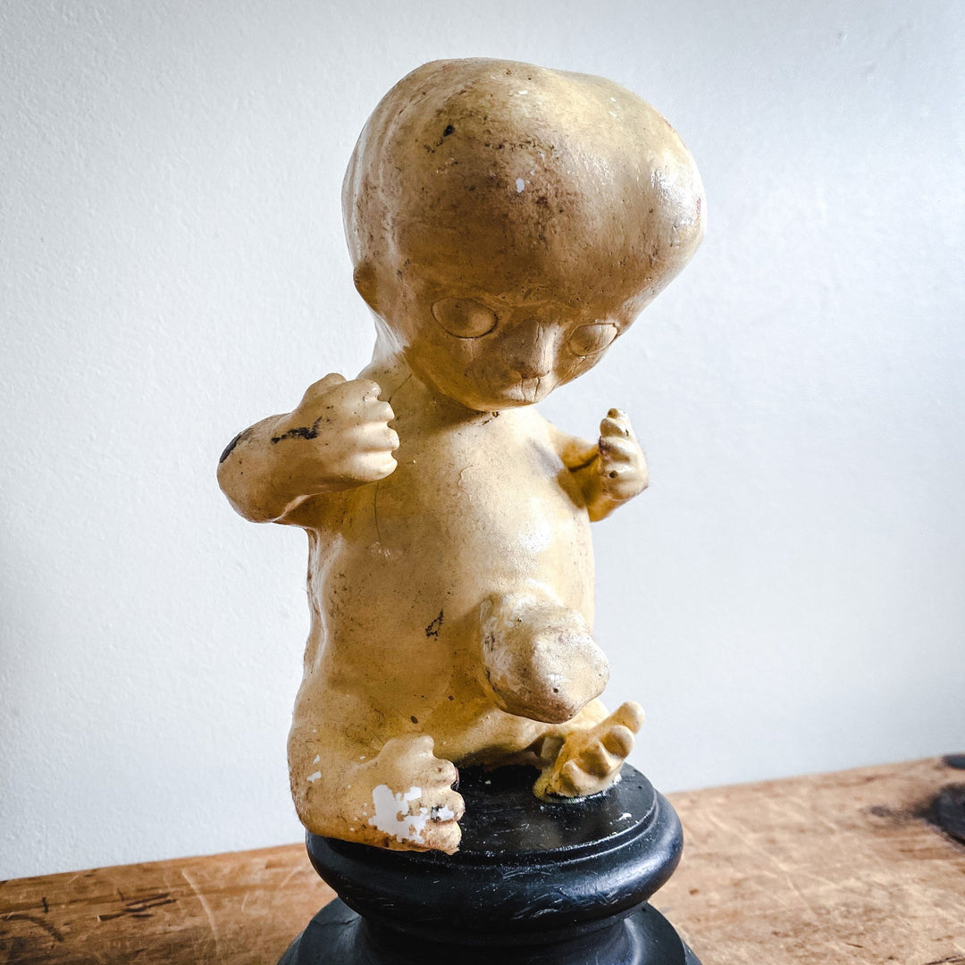 Model of a Fetus - Houselore