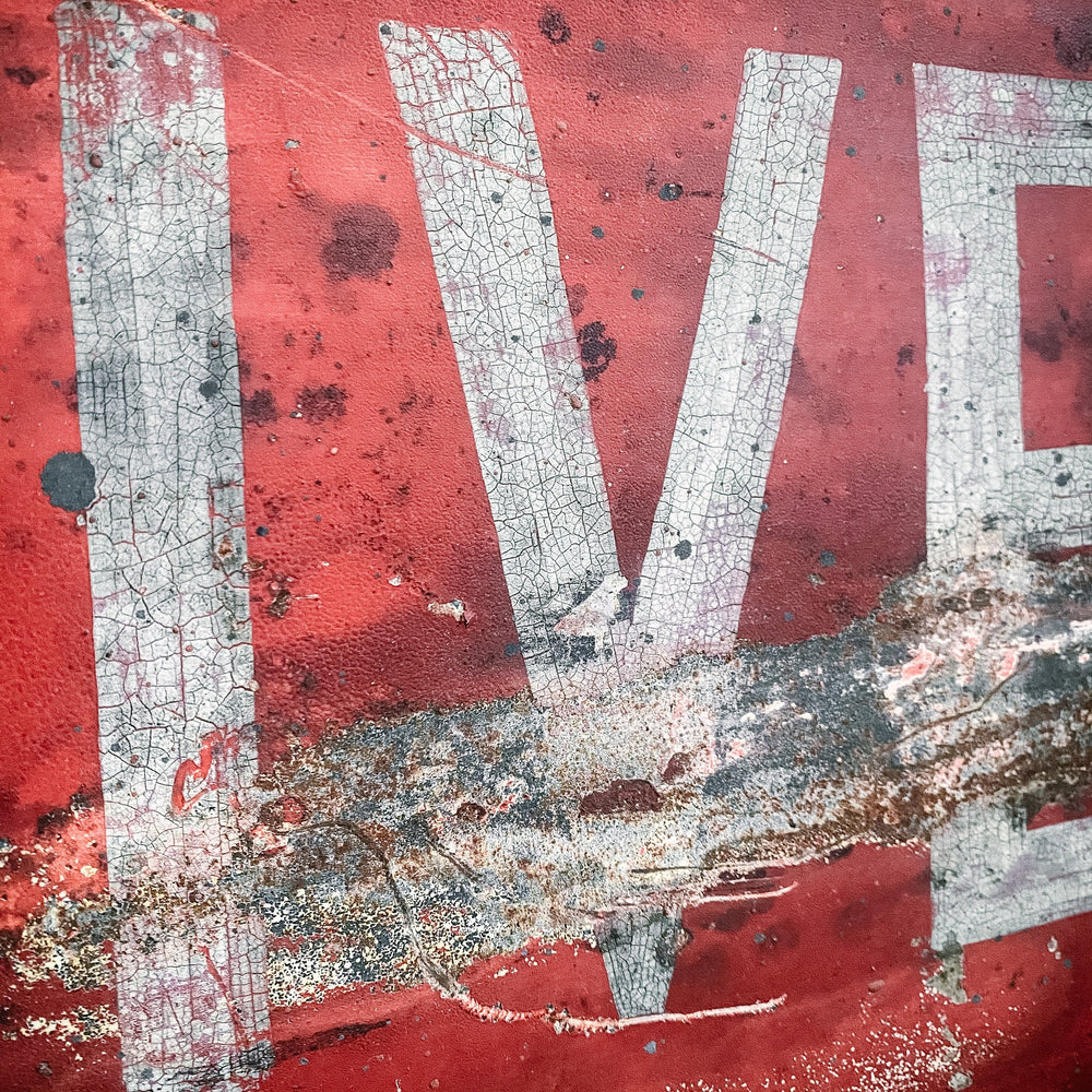 Vintage Sign 'Danger Alive' - Houselore